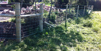 stock fence